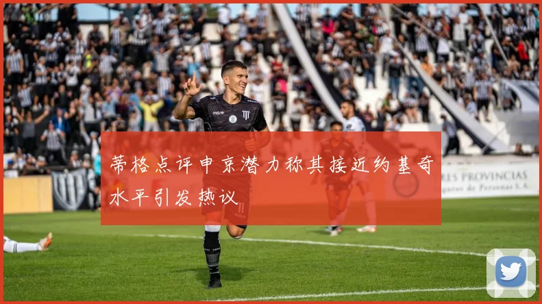 蒂格点评申京潜力称其接近约基奇水平引发热议