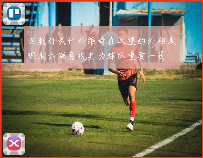热刺对武什科维奇在汉堡的外租表现表示满意视其为球队重要一员