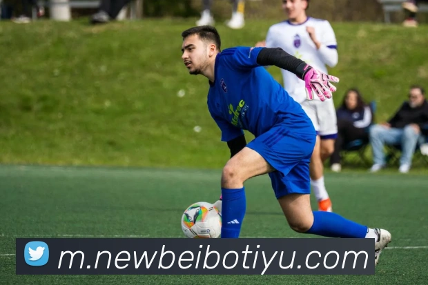 贝博体育平台生态图