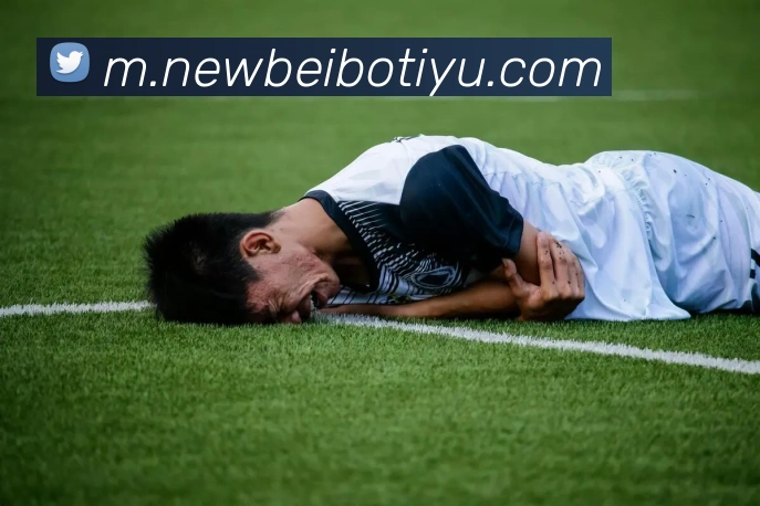 贝博体育APP 封面图